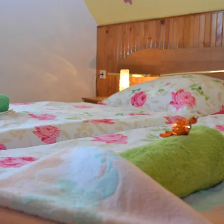 Gruppenausflug Nach Sebnitz, Cleaning Included Apartment *