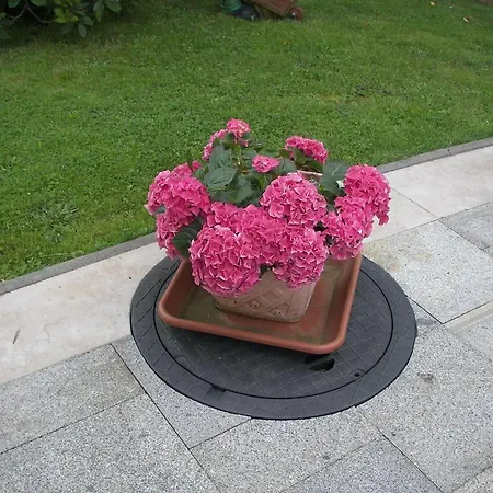 Gruppenausflug Nach Sebnitz, Cleaning Included Apartment Lichtenhain (Sebnitz)
